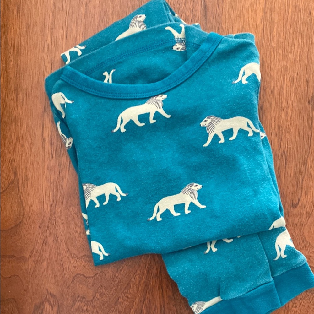Teal Lion Print Kids Pajamas